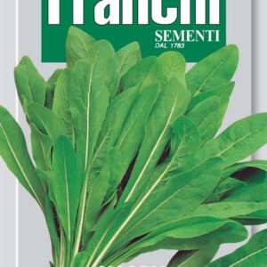 Franchi Seeds of Italy - DBO 40/1 - Chicory - Spadona - Seeds