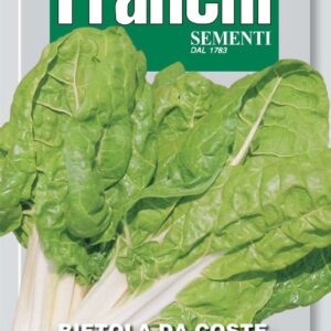 Franchi Seeds of Italy - DBO 14/2 - Swiss Chard - Bionda Di Lione 2 - Seeds