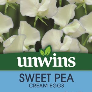 Unwins Sweet Pea Cream Eggs 20 Seeds