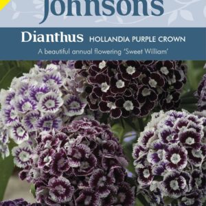 Johnsons Seeds Dianthus Hollandia Purple Crown 100 Seeds