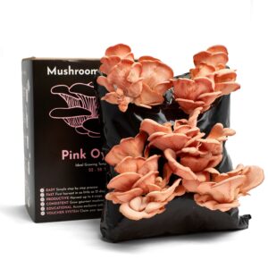 Mushroom Growing Kit Pink Oyster Gift Option