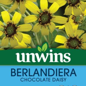 Unwins Berlandiera Chocolate Daisy 15 Seeds