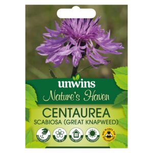 Unwins Flower Native British Isles Wildflower Greater Knapweed - 75 Seeds