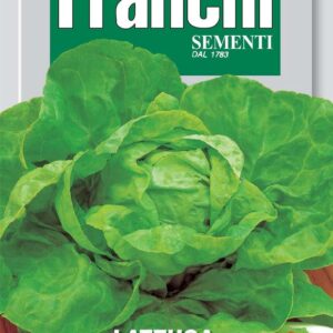 Franchi Seeds of Italy Lettuce Testa Di Burro D'Inverno Seeds