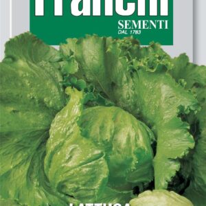Franchi Seeds of Italy Lettuce Brasiliana Seeds