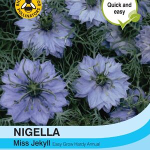 Thompson & Morgan Nigella Miss Jekyll 685 Seed