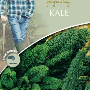 Mr Fothergills - David Domoney - Vegetable - Kale - Black Tuscany - 400 Seeds