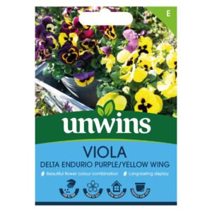 Unwins Flower Viola Delta Endurio Yellow Purple Wing Seed