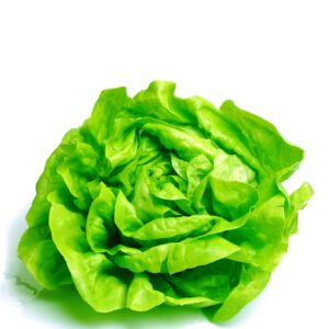 Lettuce Buttercrunch Seeds