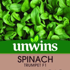 Unwins Spinach Trumpet 600 Seeds