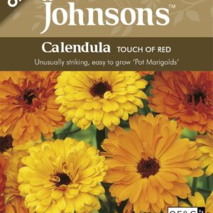 Johnson Seeds - Organic Flower - Calendula Touch Of Red - 100 Seeds