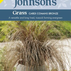 Johnson Seeds - Ornamental Grass - Carex Comans Bronze - 40 Seeds