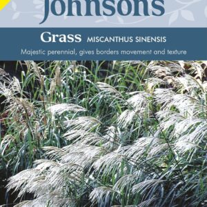 Johnson Seeds - Ornamental Grass - Miscanthus Sinensis - 50 Seeds