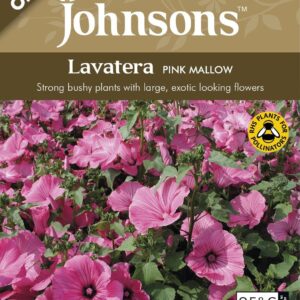 Johnson Seeds - Organic Flower - Organic Lavatera Pink Mallow - 75 Seeds