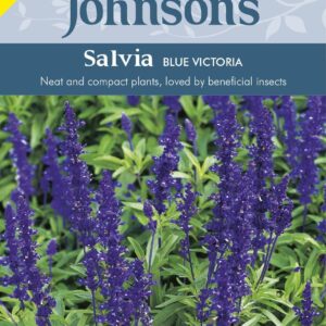 Johnson Seeds - Flower - Salvia Blue Victoria - 250 Seeds
