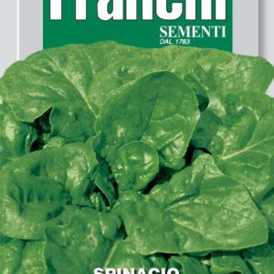 Franchi Seeds of Italy Spinach Matador Seeds