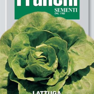 Franchi Seeds of Italy Lettuce Parella Seeds