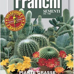 Franchi Seeds of Italy - Flower - FDBF_S 343-1 - Cactus Mixed - Seeds
