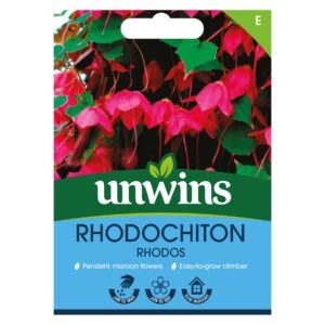 Unwins Flowers Rhodochiton Rhodos Seed