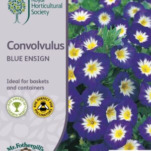 Mr Fothergills RHS Convolvulus Blue Ensign 100 Seeds