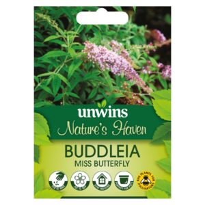 Unwins Flower Buddleia Miss Butterfly - 200 Seeds
