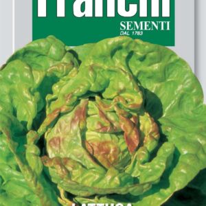 Franchi Seeds of Italy Lettuce Regina Di Maggio Seeds