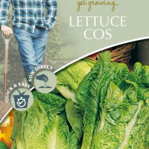 Mr Fothergills - David Domoney - Vegetable - Lettuce Cos - Tantan - 200 Seeds