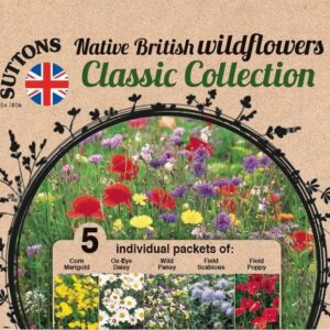 Sutton Seeds - Wildflower Seeds Collection