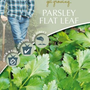 Mr Fothergills - Herb - David Domoney Parsley Flat Leaf - 1000 Seeds