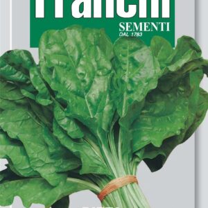 Franchi Seeds of Italy - DBO 14/1 - Swiss Chard - Verde Da Taglio - Seeds