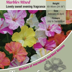 Kings Seeds Mirabilis jalapa Marbles Mixed 40 Seed