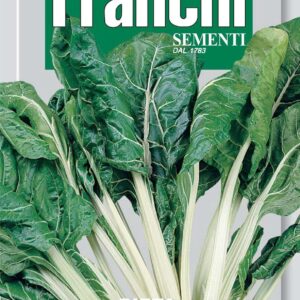 Franchi Seeds of Italy - DBO 14/16 - Swiss Chard - Verde a Costina Bianca - Seeds *