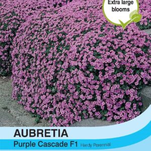 Thompson & Morgan Aubrieta Purple Cascade 150 Seed