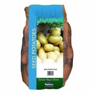 Taylors Seed Potatoes Foremost 2kg Tubers First Early