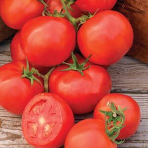 Tomato Oh Happy Day F1 Hybrid Seeds