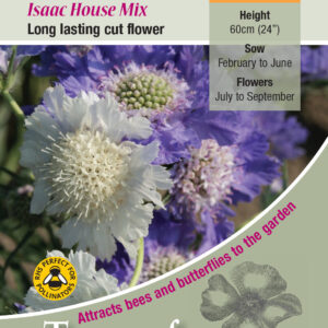 Kings Seeds Scabious caucasica Issac House Mix 35 Seed