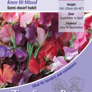 Kings Seeds Sweet Pea Knee High Mix 30 Seeds