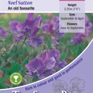 Kings Seeds Sweet Pea Noel Sutton 20 Seeds