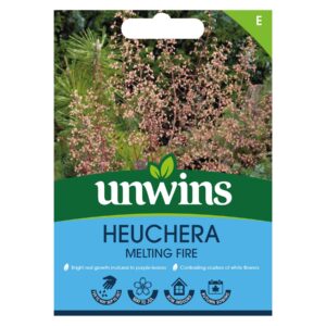 Unwins Flower Heuchera Melting Fire - 25 Seeds