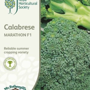 Mr Fothergills RHS Calabrese Marathon F1 50 Seeds