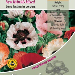 Kings Seeds  Poppy New Hybrids Mixed Seeds