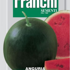 Franchi Seeds of Italy - DBO 3/10 - Watermelon - Sugar Baby - Seeds
