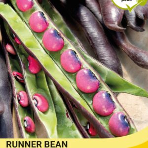 Thompson & Morgan  Vegetable  Runner Bean Black Knight - 20 Seeds