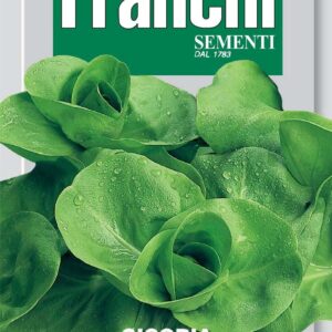 Franchi Seeds of Italy Chicory A Grumolo Bionda Seeds