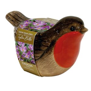 Novelty Gift Robin Ceramic Planter Crocus Bulb Kit (Reduced due to slight cosmetic damage)