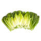 Lettuce Open Heart Cos Auvona RZ Seeds