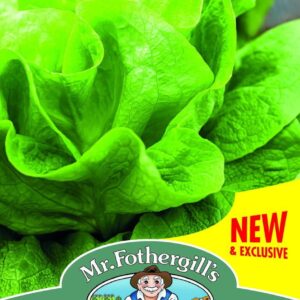 Mr Fothergills Lettuce Gustav's Salad 1000 Seeds