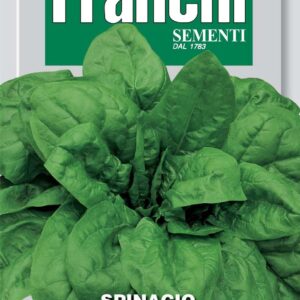 Franchi Seeds of Italy Spinach Viking Seeds