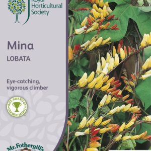 Mr Fothergills RHS Mina Lobata 30 Seeds