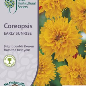 Mr Fothergills RHS Coreopsis Early Sunrise 200 Seeds